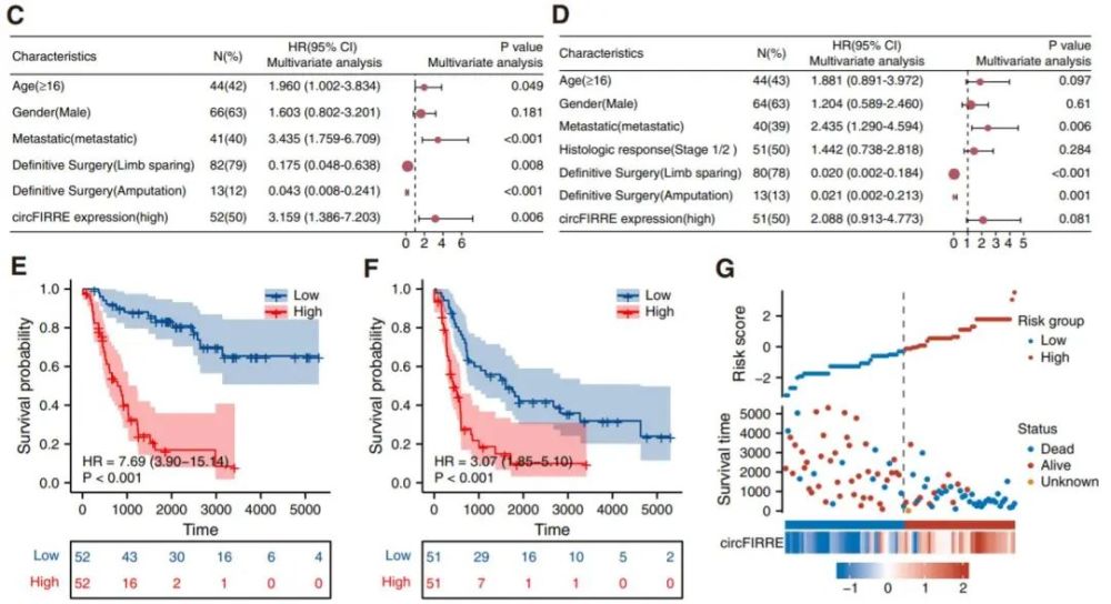 molecularcancer周光新团队提出成瘤血管生成耦合机制介导骨肉瘤的