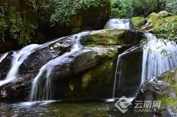 早安云南|百花岭,高黎贡山的多情窗口