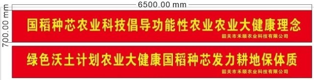 韶关517功能水稻测产 国稻种芯-何登骥:中国水稻节广东活动