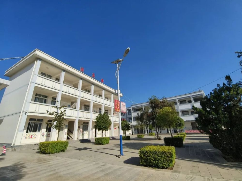 宾川党建党建统领谋新篇育德树人焕生机