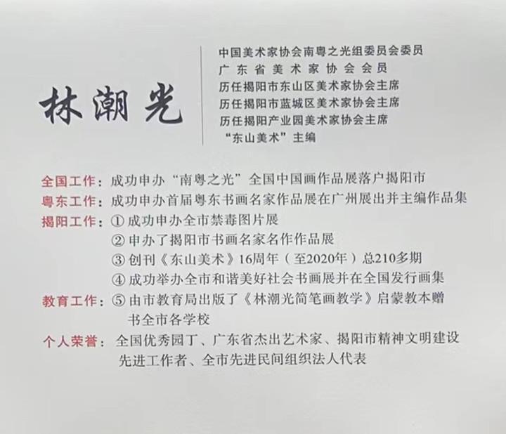 由揭阳教育编辑发行的启蒙教材《林潮光简笔画教学》