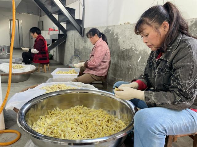 [南方生姜网-图片加载]