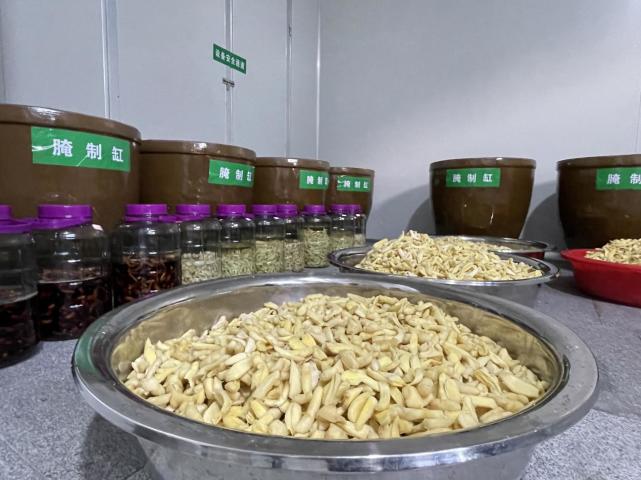 [南方生姜网-图片加载]