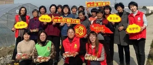 "学习强国"进家庭】启东市妇联:强队伍,聚人气