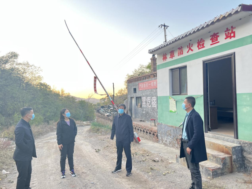 抓党建促提升张兰镇党旗飘扬在一线搭建护林防火线