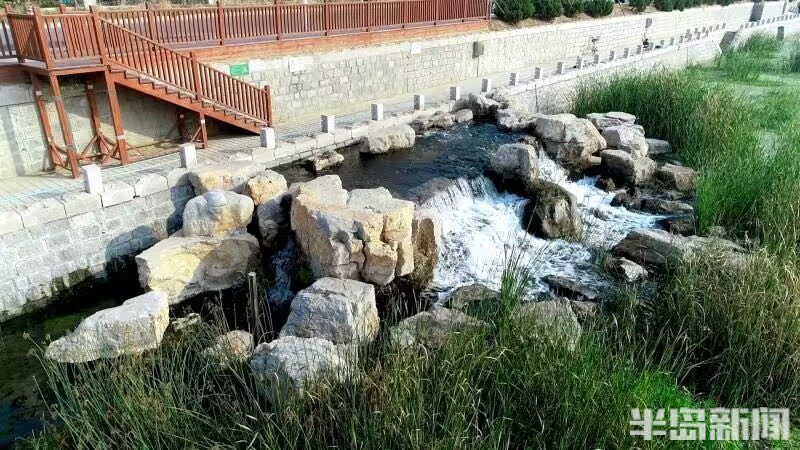 全国“双百跨越”标杆污水处理厂评选，张村河水质净化厂、团岛污水处理厂获殊荣