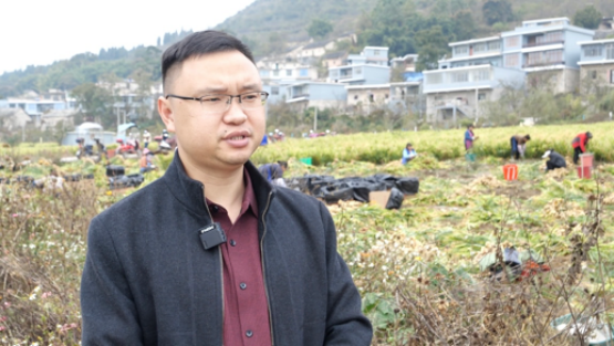 [南方生姜网-图片加载]