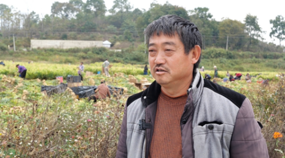 [南方生姜网-图片加载]