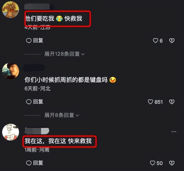 网红丢狗被骗后续：骚扰者扬言要杀狗吃肉，仍有好心人提供线索（组图） - 4