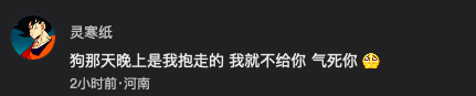网红丢狗被骗后续：骚扰者扬言要杀狗吃肉，仍有好心人提供线索（组图） - 13