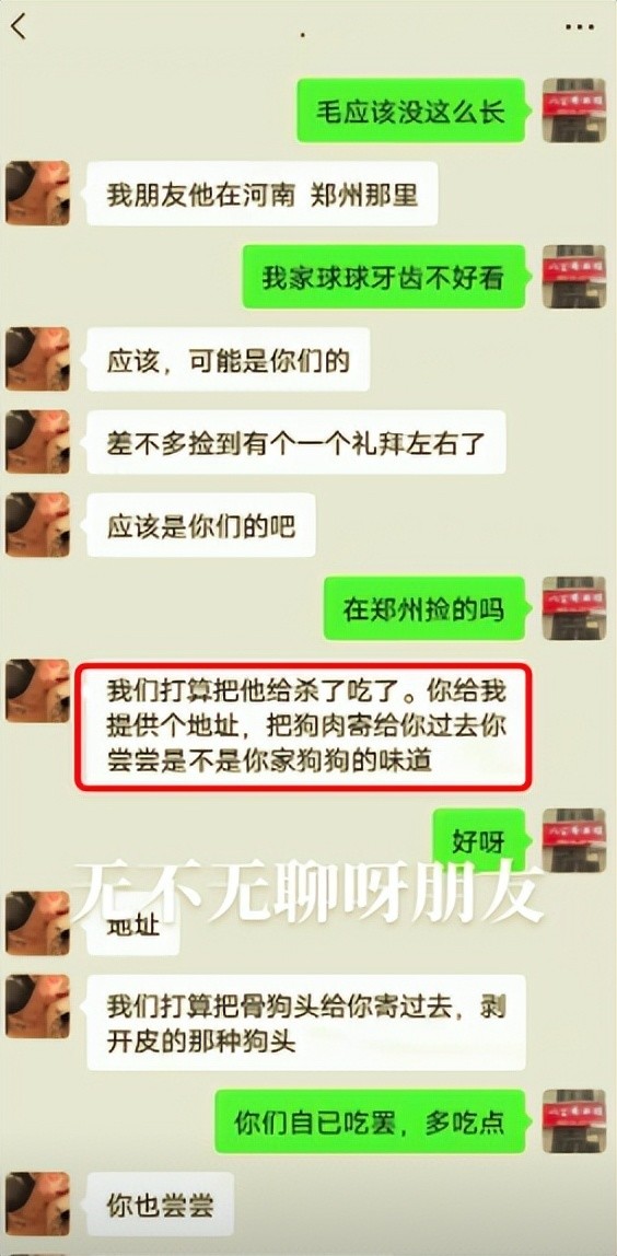 网红丢狗被骗后续：骚扰者扬言要杀狗吃肉，仍有好心人提供线索（组图） - 12