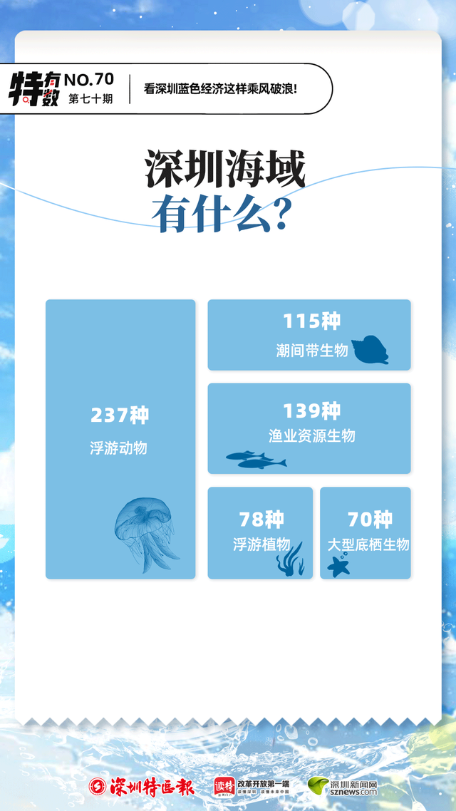 特有数｜666！看深圳蓝色经济这样乘风破浪_腾讯新闻