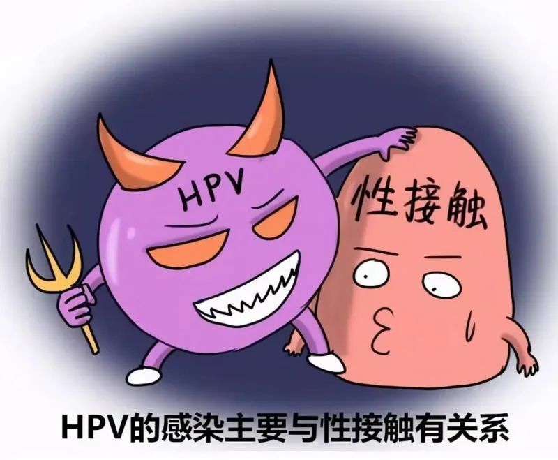 精英荟医生招聘红颜杀手宫颈癌hpv预防感染三步走