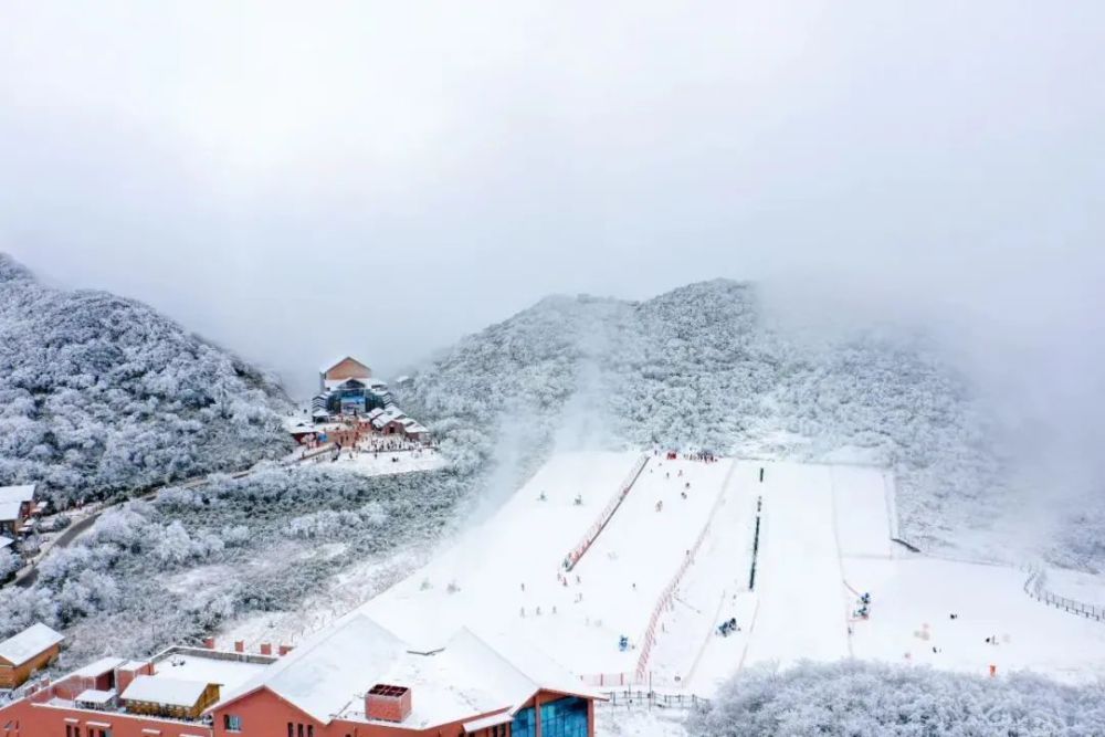 小雪│实不相瞒我已经无比期待金佛山的冬天了