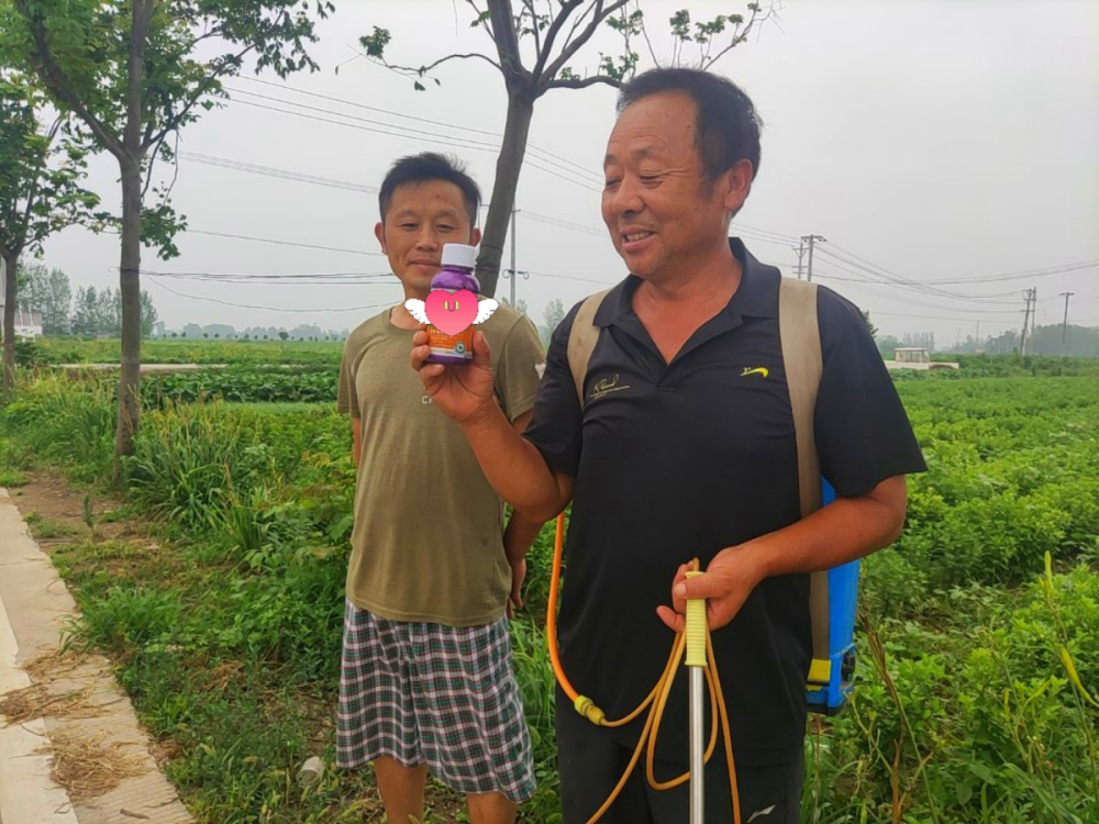 作为百草枯的替代品被称为有秘密的除草剂敌草快有多强