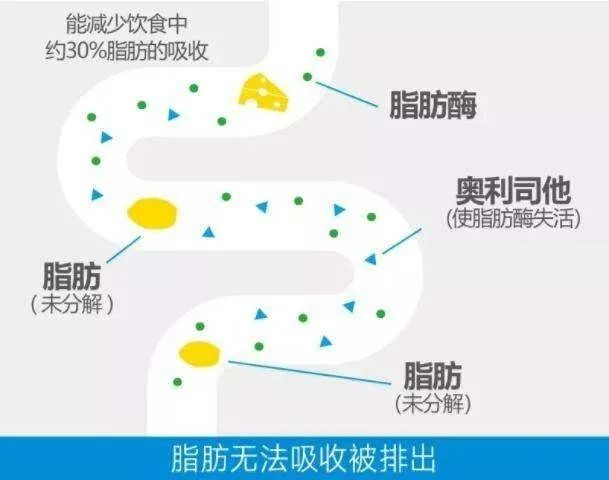 餐桌饮食习惯影响减肥效果随便对照一下分分钟中招森迪