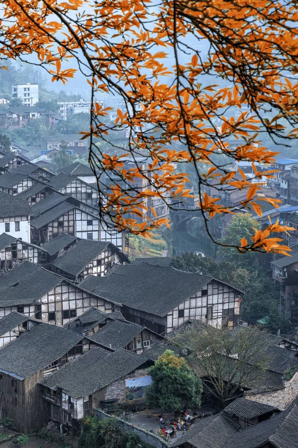 在四川有种豪情叫泸州