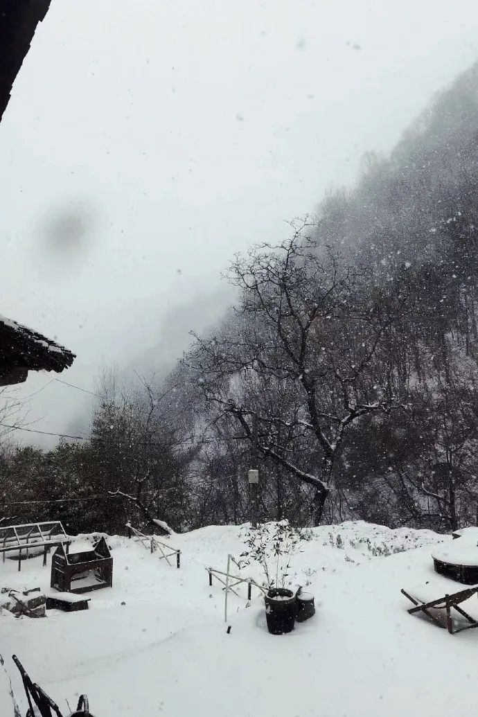 难怪华州区今天这么冷原来陕西多地下雪了