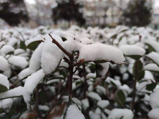 全国多地迎来初雪你那里下雪了吗