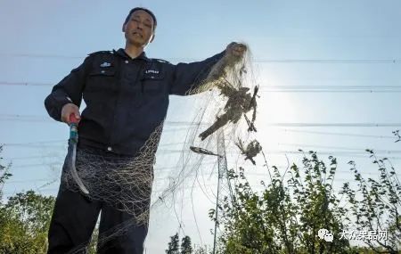 果园布粘鸟网被以非法狩猎罪立案侦查冤不冤