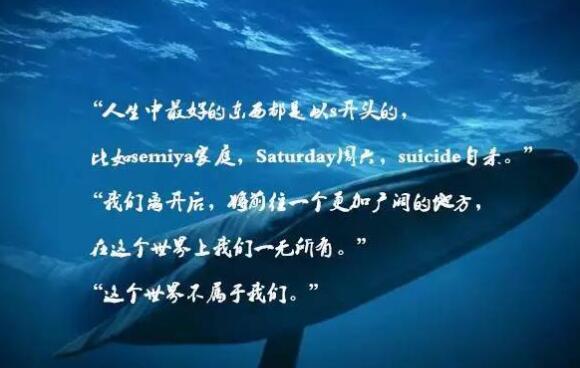 曝南充女学生玩蓝鲸恐怖死亡游戏 险被夺去生