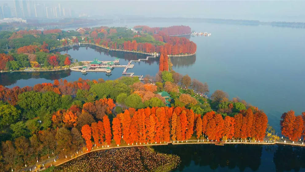 洈水刁子鱼千湖之省是湖北4a景区出美味