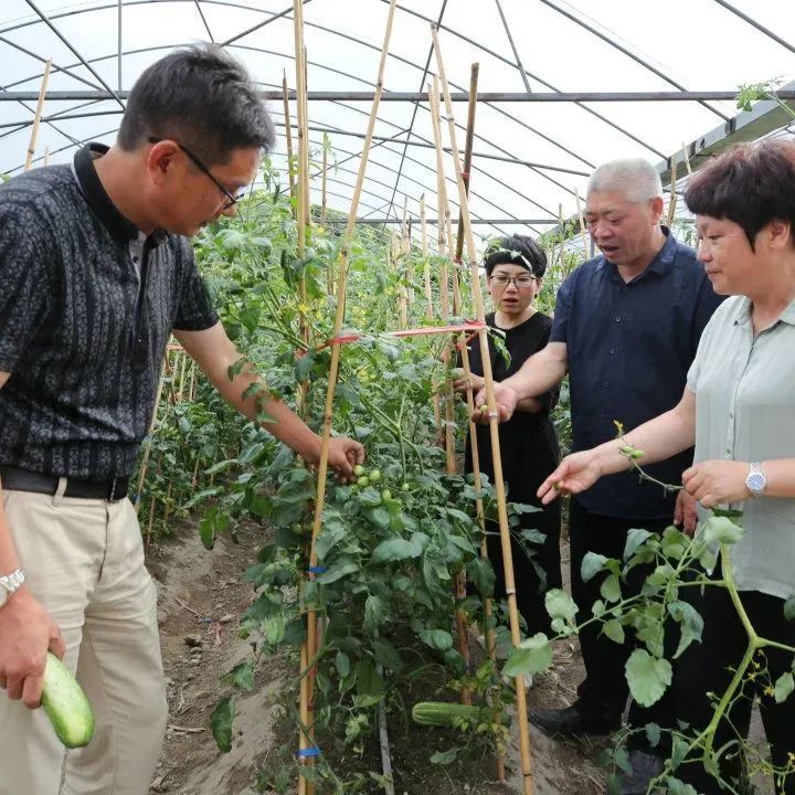 硒锌田野新希望寿宁发力硒锌产业构建乡村振兴特色样板