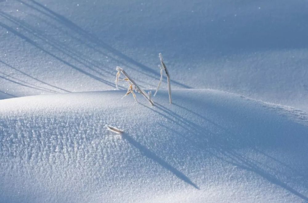 这10首咏雪诗词不带一个雪字却写尽雪之美