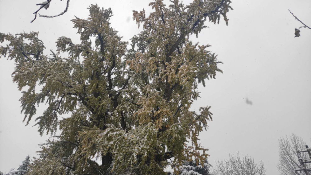 距离西安韦曲南20分钟车程去秦岭天子峪爬山赏雪欣赏大雪中的中国第一