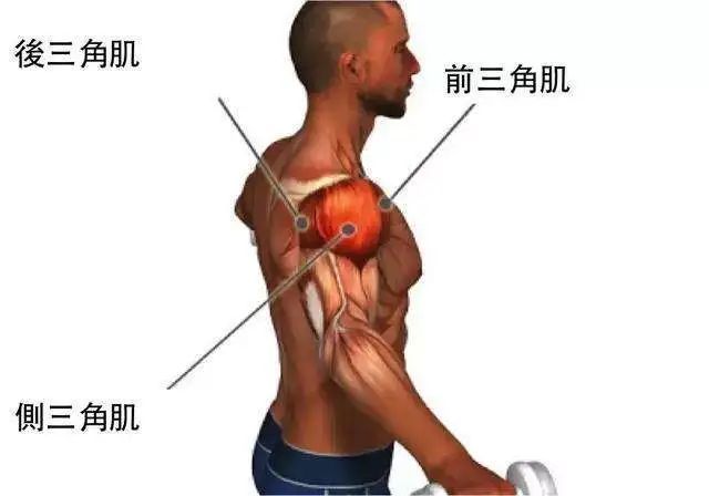 (2)肩伸展肌群:弹力带一端固定在与手平行的位置,患手抓住弹力带的另