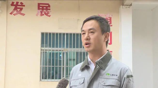 永德县加速推进甘蔗备榨工作力争12月中下旬开榨