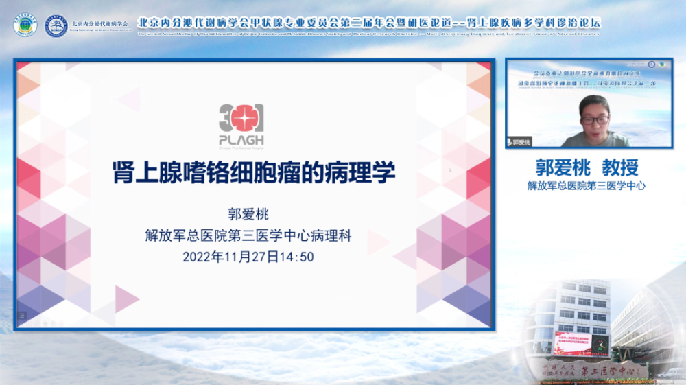 奋楫笃行砥砺向前北京内分泌代谢病学会甲状腺专业委员会第二届年会暨