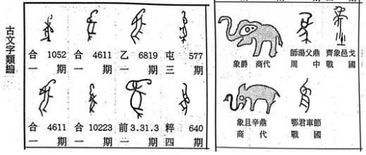 而这些古文字体系中的"象"字均来自大象的形象.