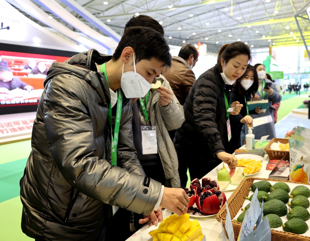 攀果走俏农博会背后阳光味道成特色每一颗都有身份