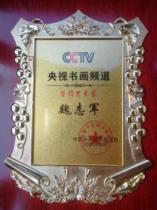 cctv《我要上央视》栏目书画艺术顾问-魏志军