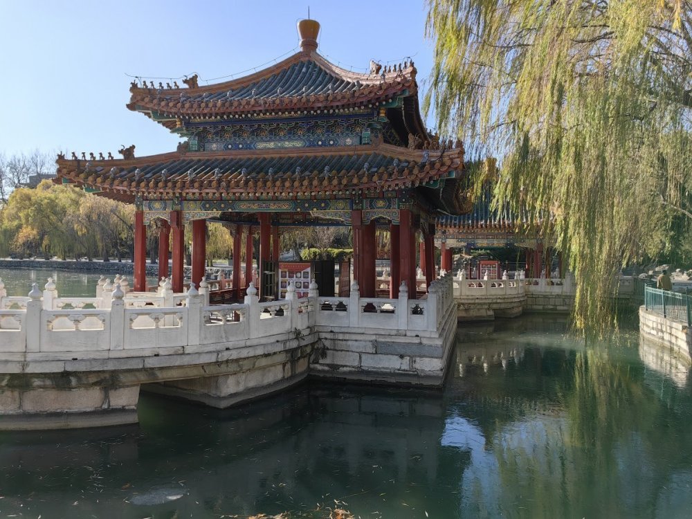 huawei华为mate50pro智能手机实拍样张图集47psoomal