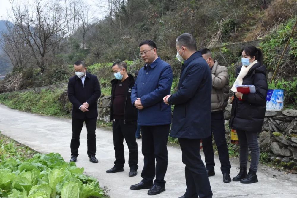 龙兆学督导调研巩固拓展脱贫攻坚成果同乡村振兴有效衔接工作