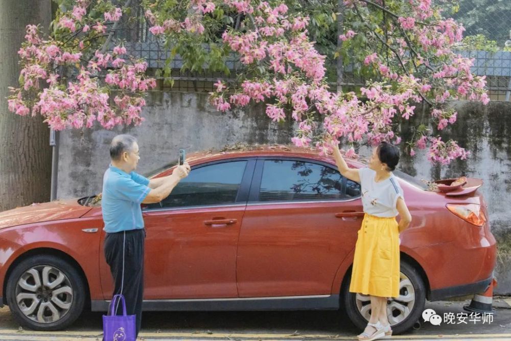 华师怎样了粉红依旧