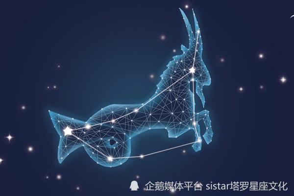 金星入摩羯座12星座最后一个月还能脱单吗