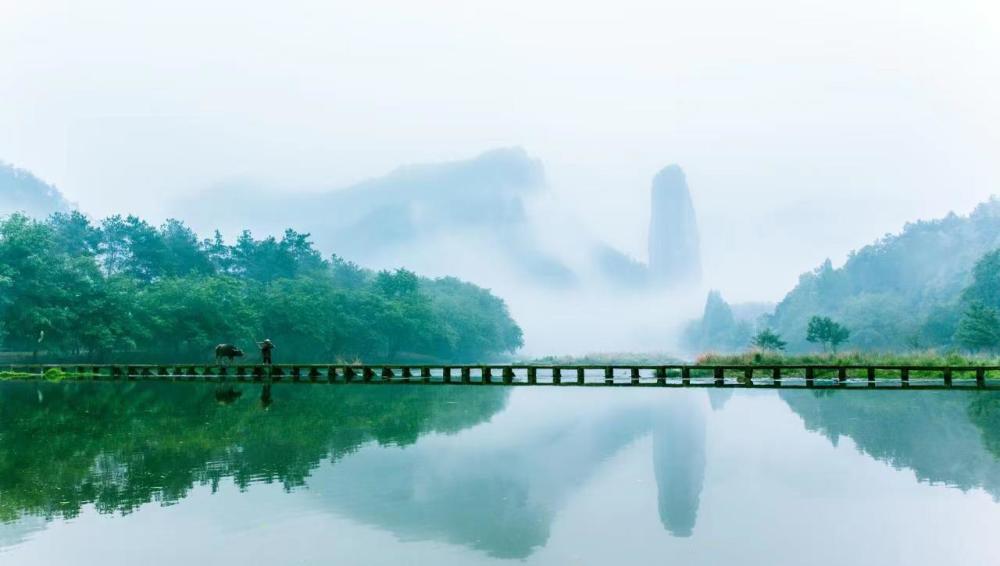 跟随智汇盟东方昱老师学习后对自己人生的感悟