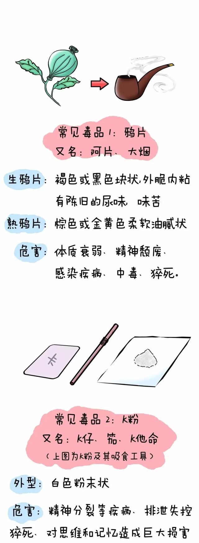 规定:毒品是指鸦片,海洛因,甲基苯丙胺(冰毒,吗啡,大麻,可卡因,摇头