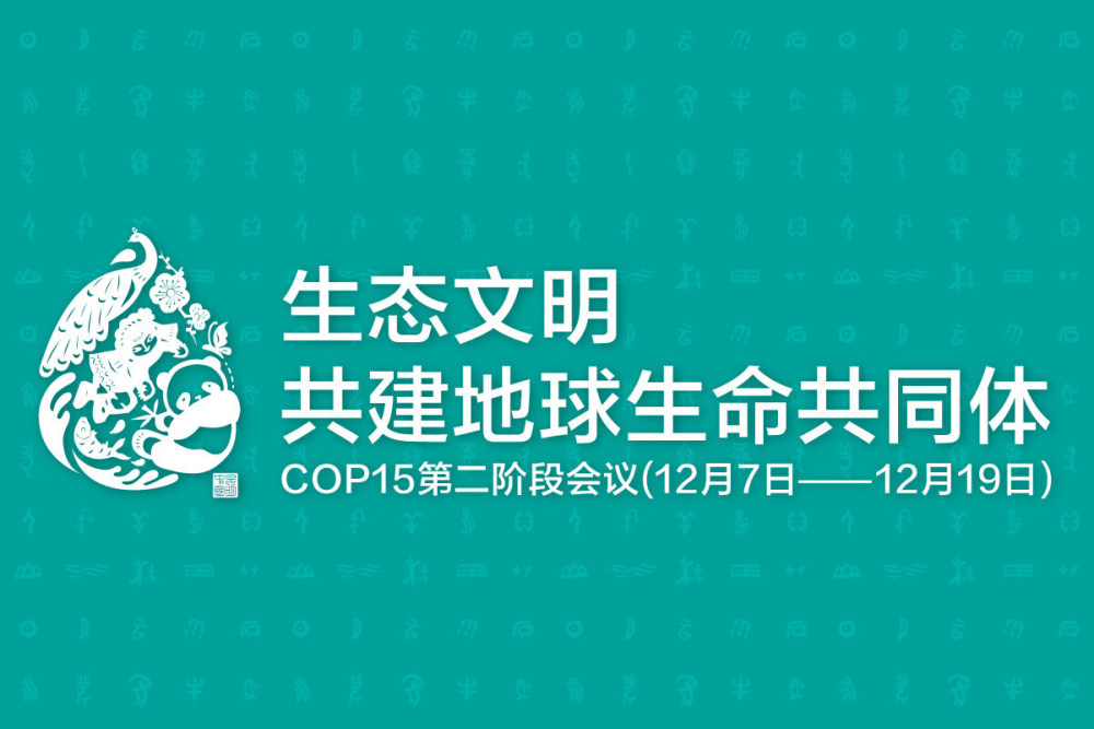 《生物多样性公约》缔约方大会第十五次会议(cop15)第二阶段会议12月