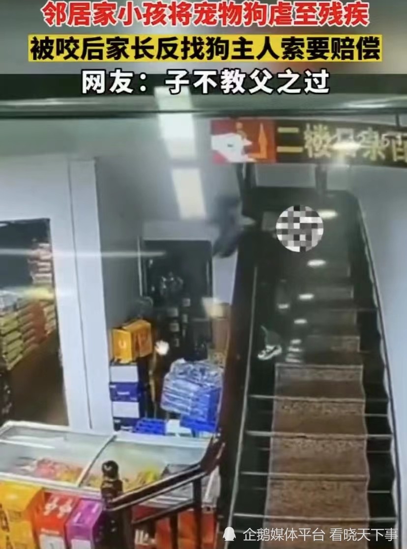 小男孩將寵物狗虐至殘疾，被咬后家長”