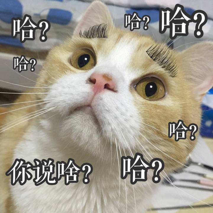 貓咪被人類“改造”的7大方面，你未”