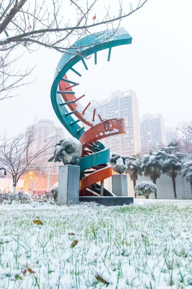祝福交大！祝福大家！西安交通大学2023年新年贺词_腾讯新闻