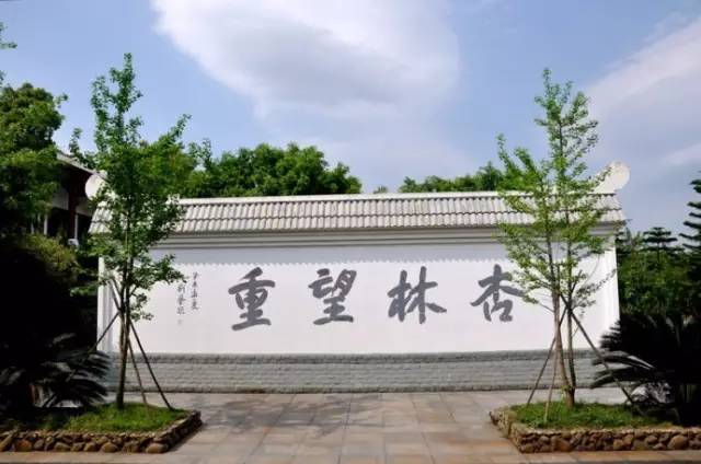 杏林详细资料大全