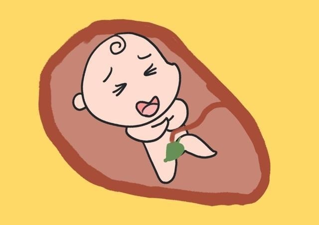 试管婴儿助孕期间老是有担忧的情绪怎么办？
