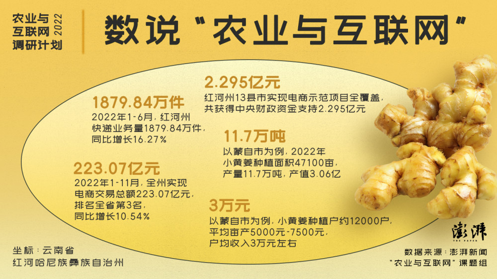 [南方生姜网-图片加载]