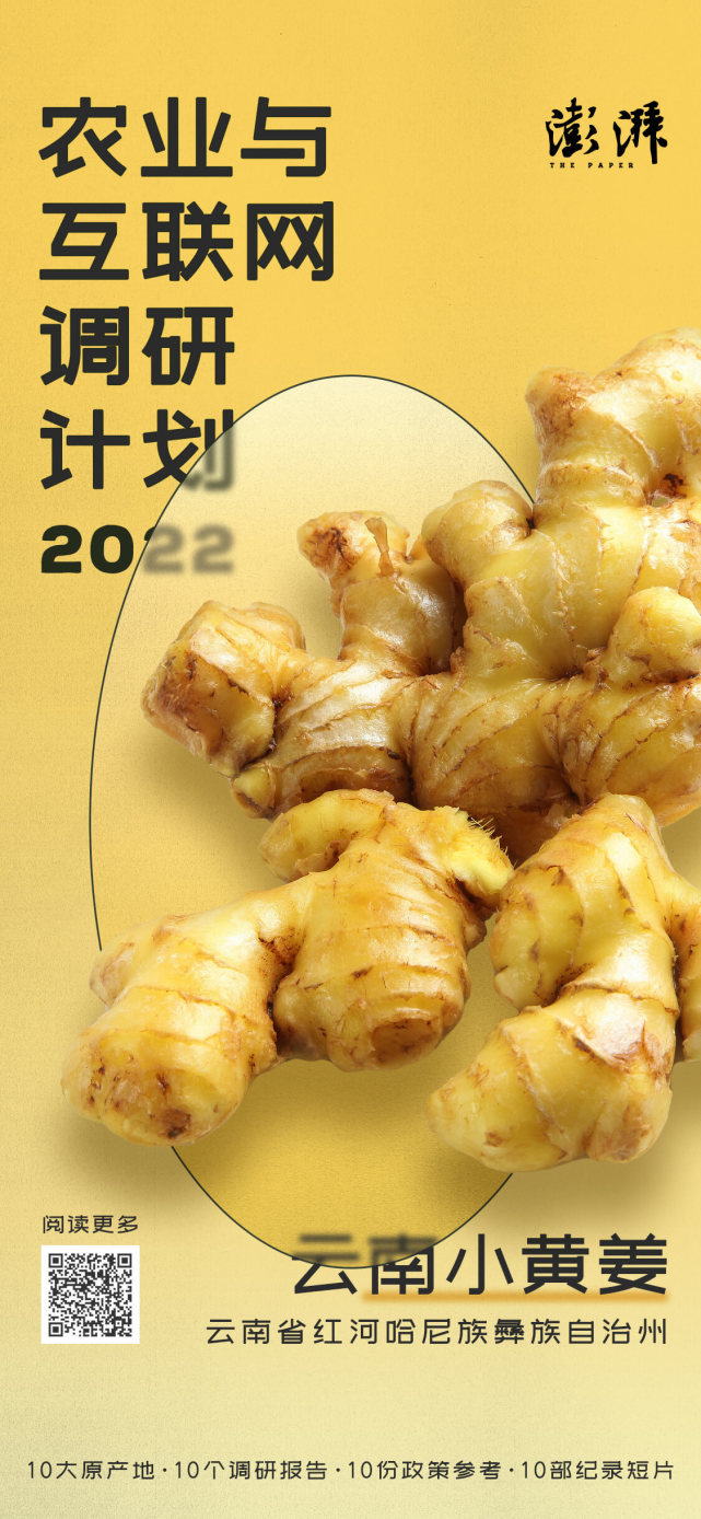 [南方生姜网-图片加载]