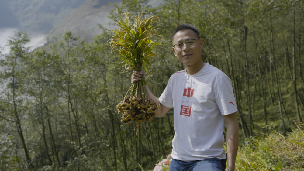 [南方生姜网-图片加载]